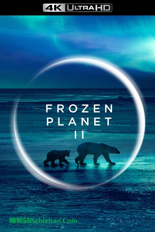 【阿里盘】【纪录片】《冰冻星球 第二季》（2022年）4k高清版-隔壁站