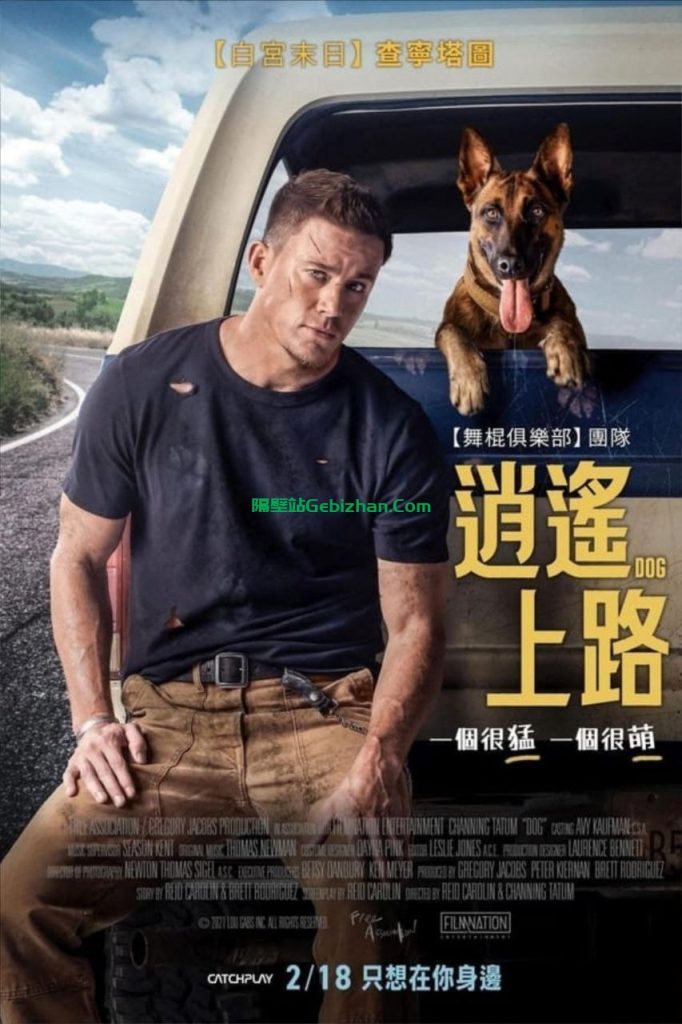 【阿里盘】【电影】忠犬 4K(2160P)-隔壁站