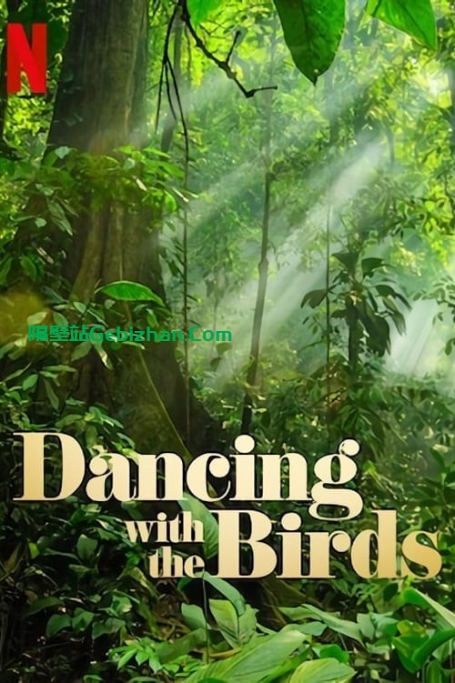 【Aliyun drive】【Movie】Dancing with the Birds (2019) 4K Chinese characters-隔壁站