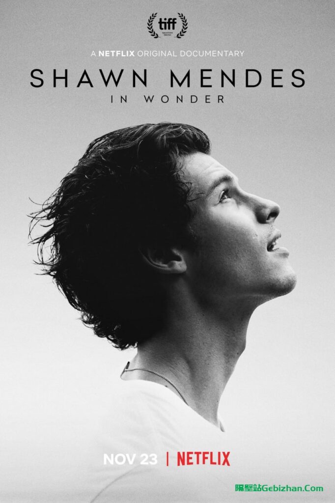 【Aliyun drive】【Movie】Shawn Mendes: All the way (2020) 2160P Chinese characters-隔壁站