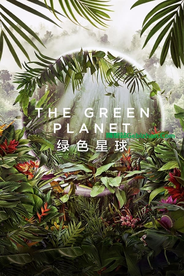 【Aliyun drive】【Movie】Green Planet (2022) Medium Version-隔壁站
