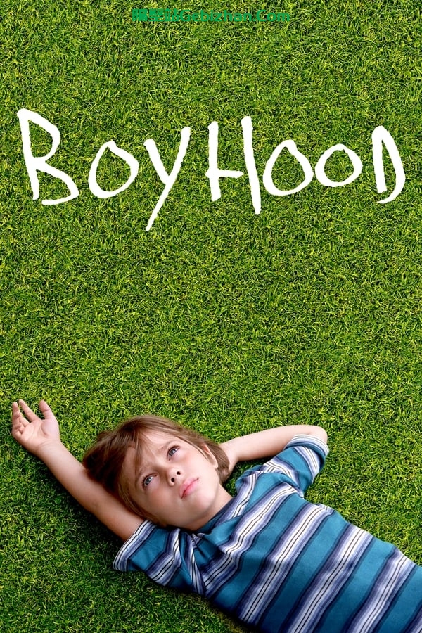 【Aliyun drive】【Movie】Boyhood (2014) 4K Blu-ray original disc-隔壁站