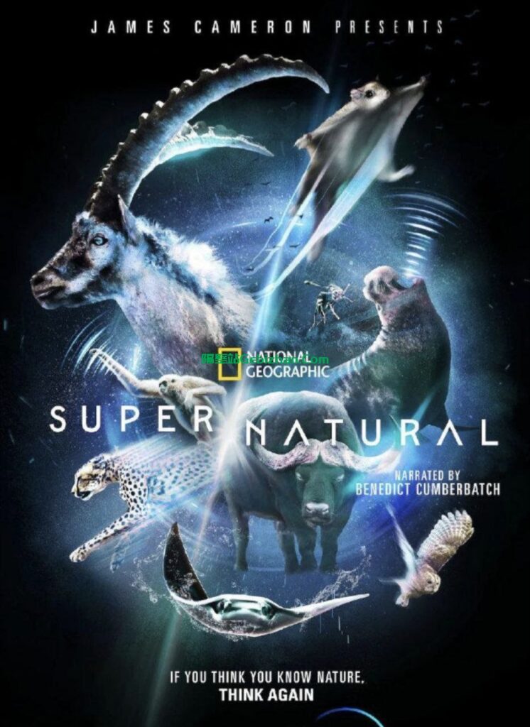 【Aliyun drive】【Movie】Super Natural S1 (2022) 4K HDR-隔壁站