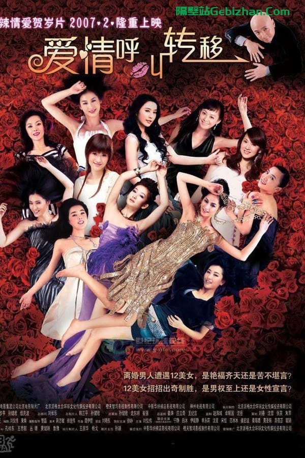 爱情呼叫转移(2007)-隔壁站