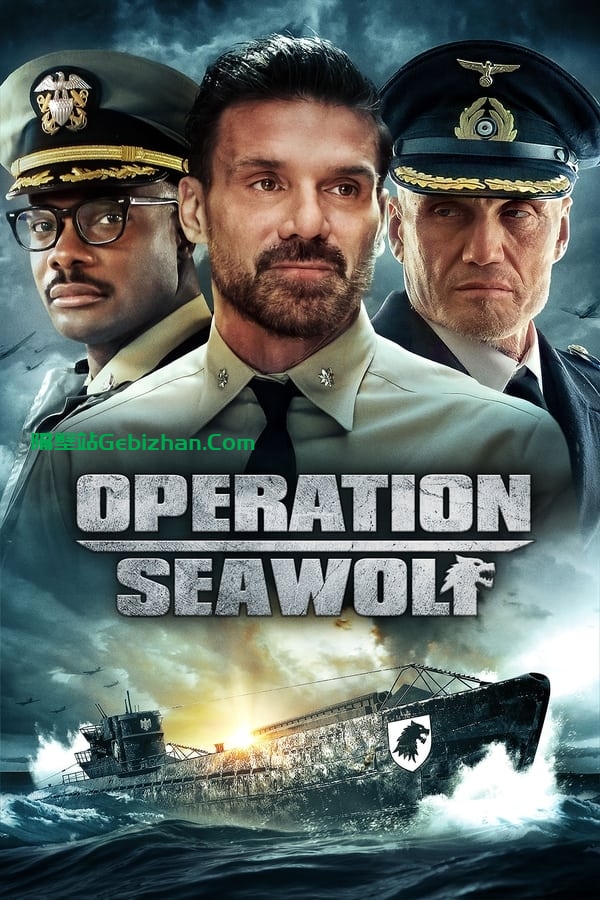 H 海狼行动Operation.Seawolf.2022.蓝光原盘REMUX-隔壁站