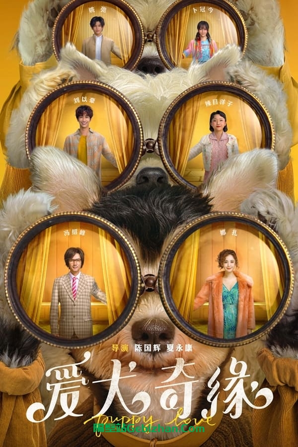 爱犬奇缘(2023)-隔壁站