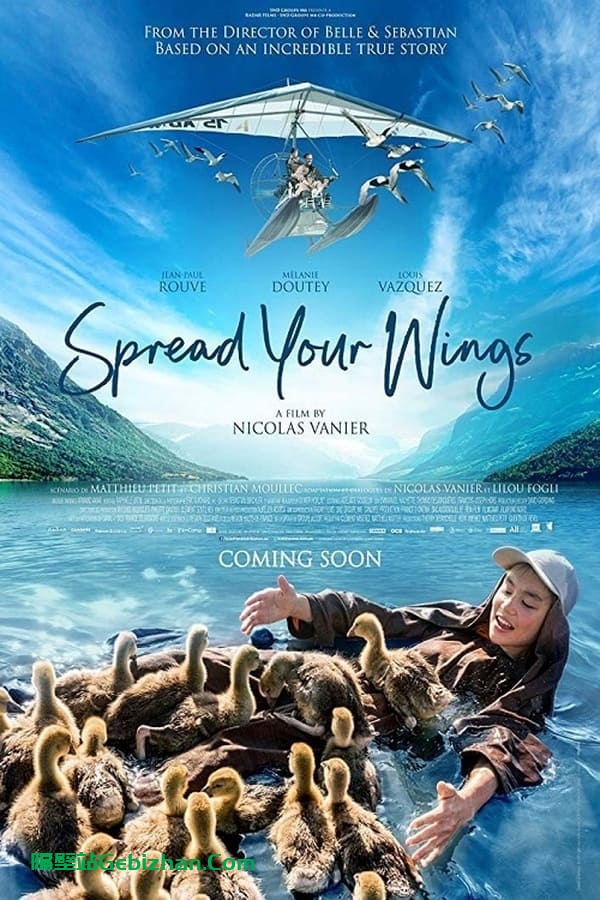 给我翅膀(2019)