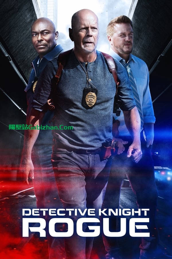 警探奈特：侠盗(2022)