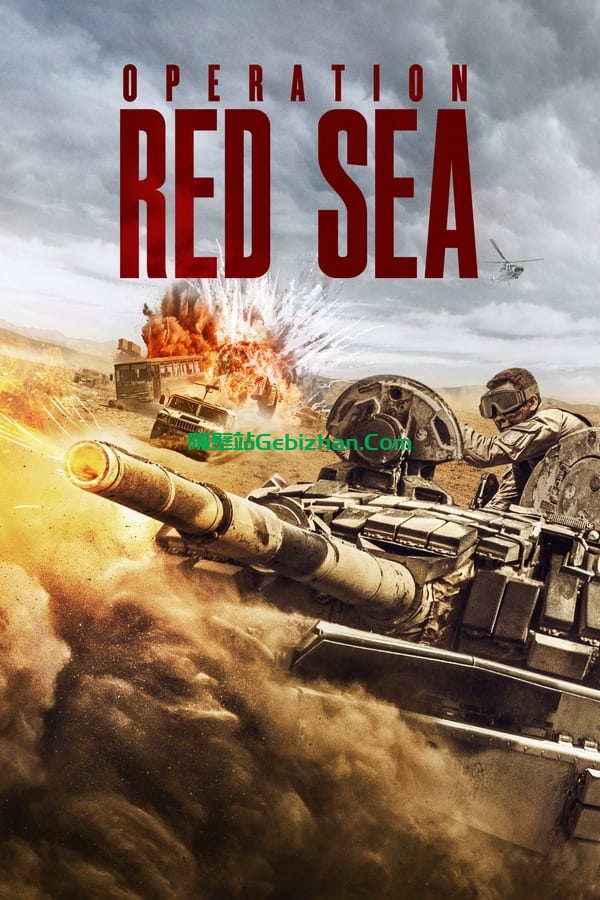 红海行动(2018)