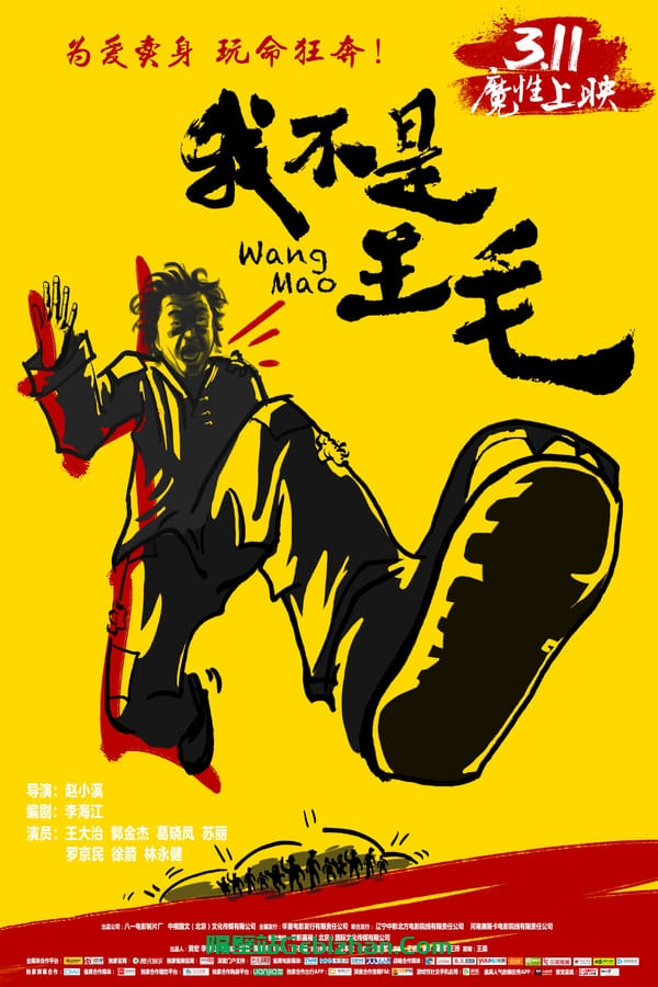 我不是王毛 (2016)-隔壁站