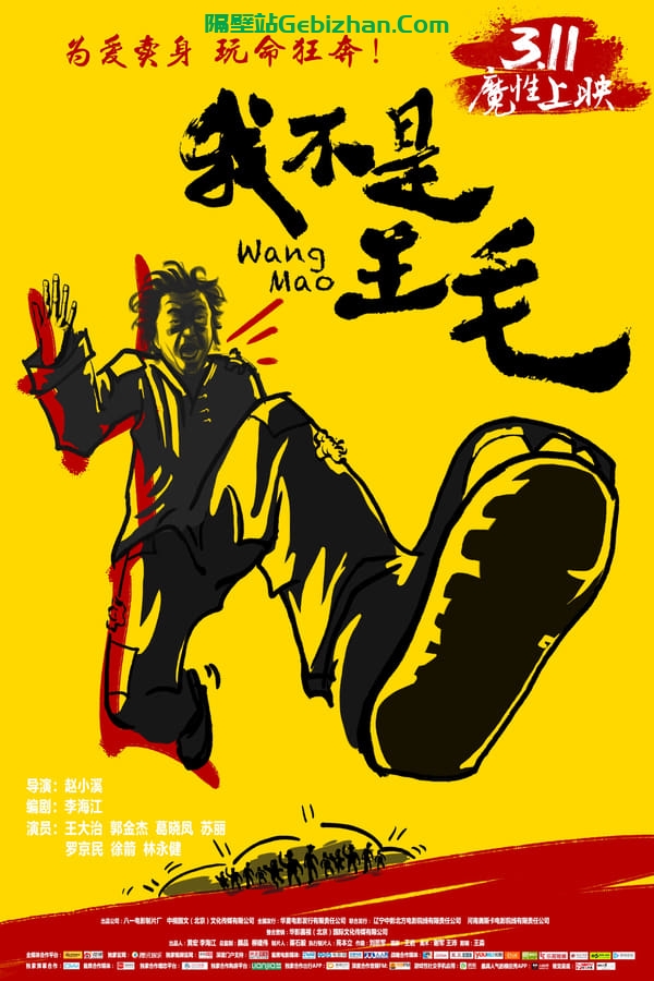 我不是王毛 (2016)-隔壁站
