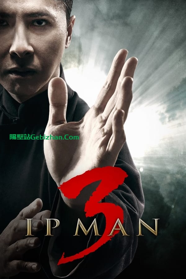 叶问3(2015)