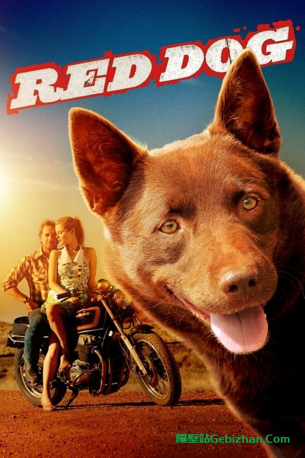 红犬历险记 (2011)-隔壁站