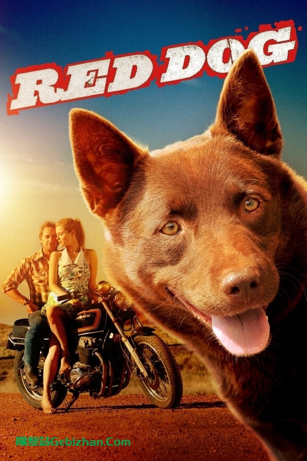 红犬历险记 (2011)-隔壁站