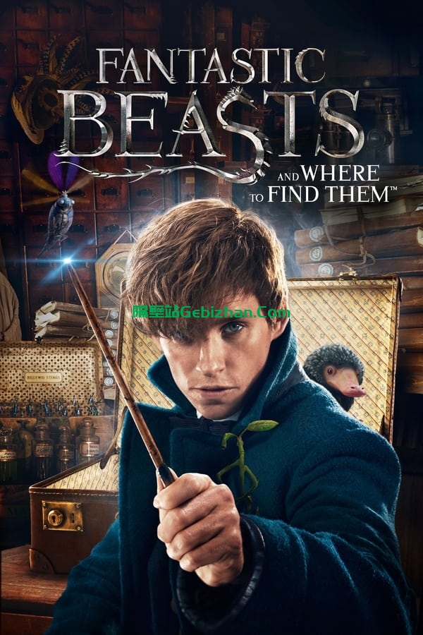 神奇动物在哪里(2016)-隔壁站