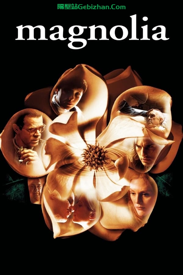 木兰花 (1999)-隔壁站